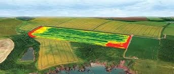 Agricultural services Services