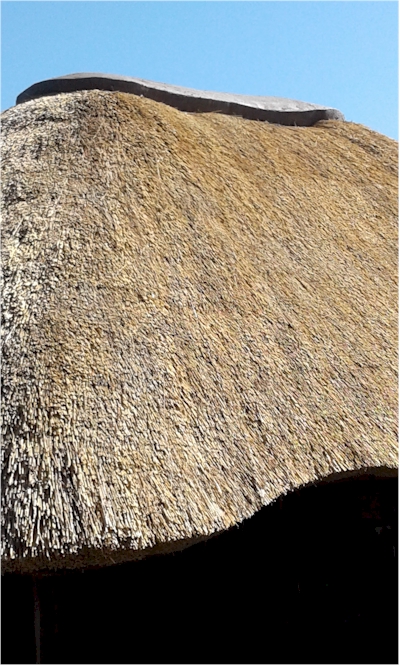 Thatching services